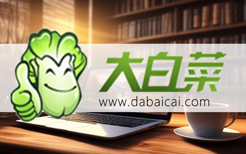 大白菜u盘安装win10-大白菜U盘安装win10
