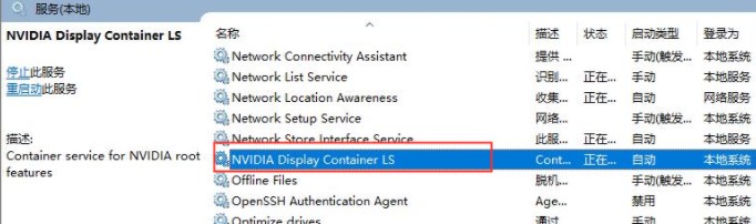 NVIDIA Dispaly Container LS