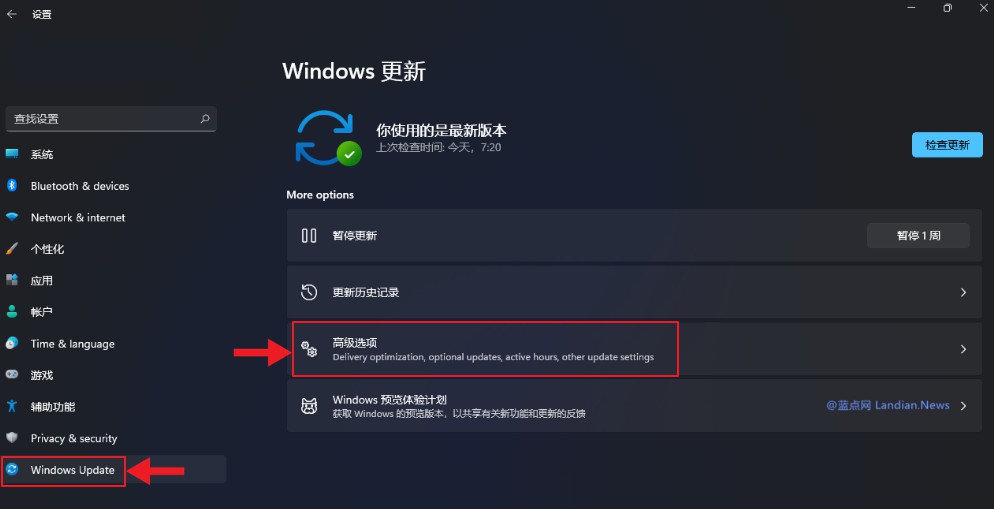 2-高级选项