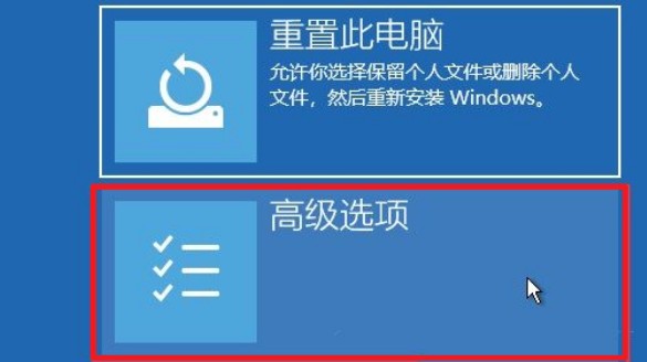 2-高级选项