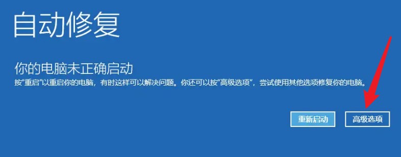 2-高级选项